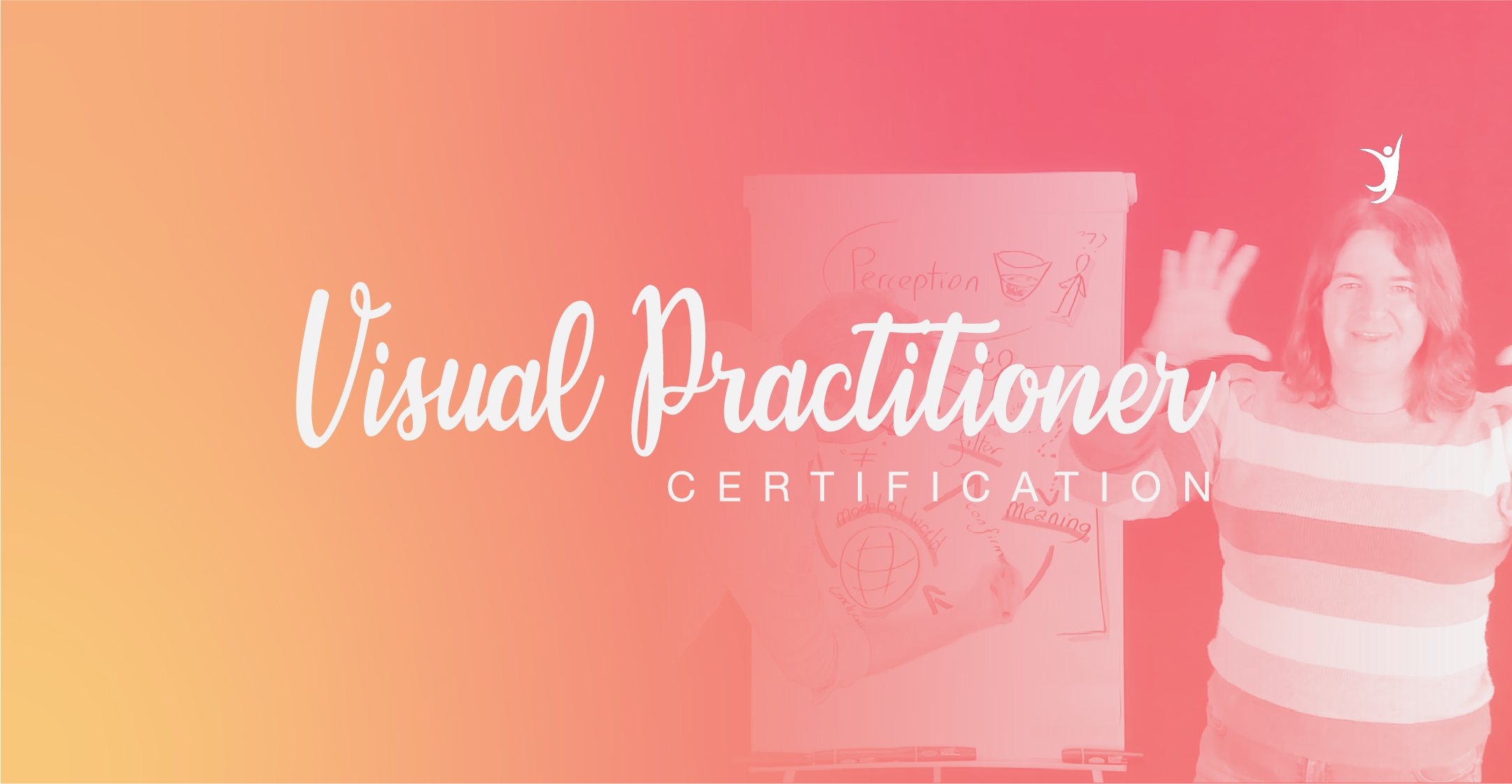 Visual Practitioner Certification