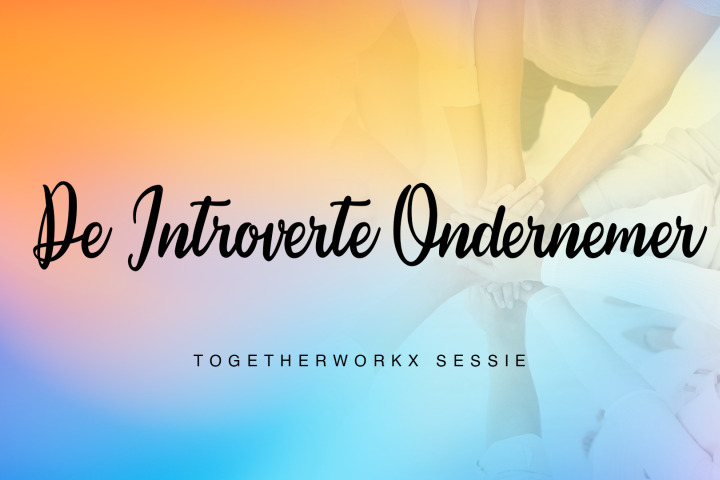 De Introverte Ondernemer