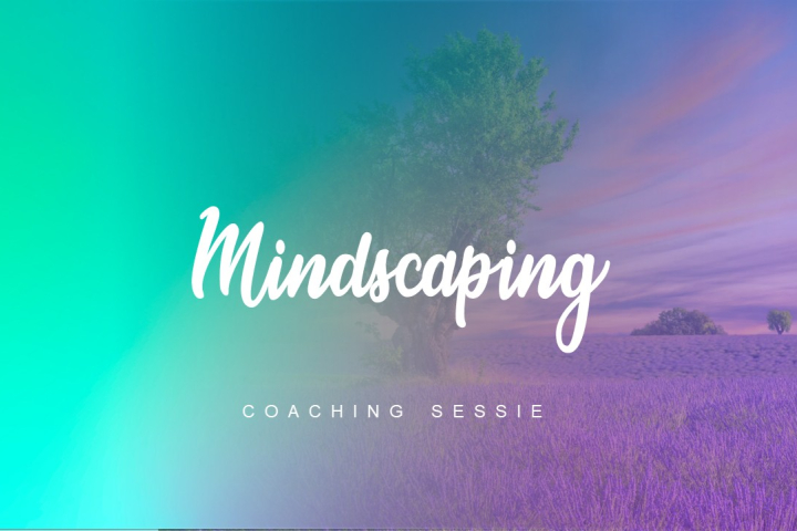 Mindscaping Coaching-sessie
