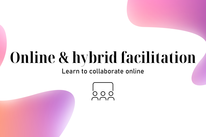 Online & hybrid facilitation