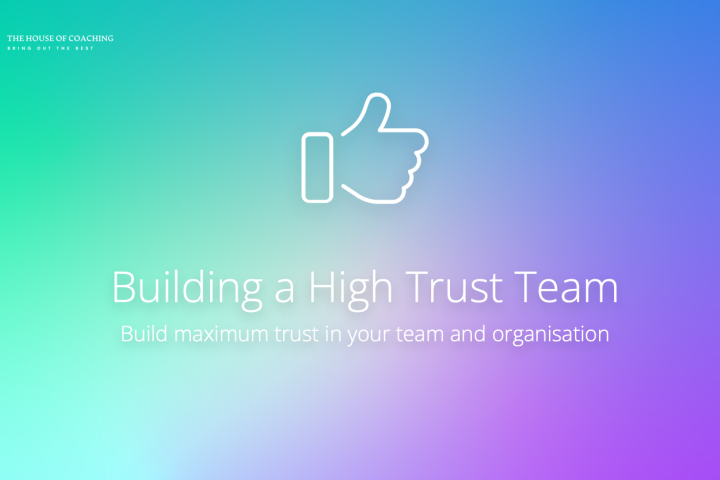 Building a High Trust Team