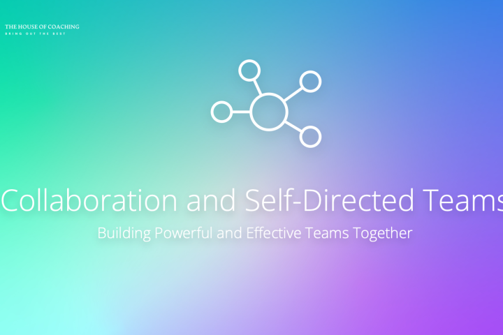 Collaboration and Self-Directed Teams