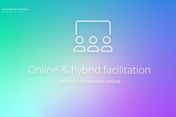 Online & Hybrid Facilitation